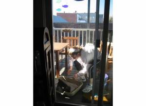 peter potty training